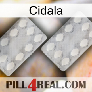 Cidala 17